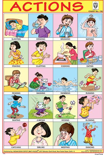 Picture educational charts for school homework and project size 12x18
