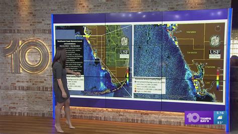 Red tide detected in 4 Tampa Bay-area counties | wtsp.com