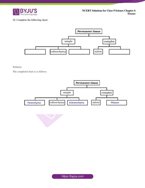Image result for Flow Chart of Class 9 Science Ch.6 Tissue