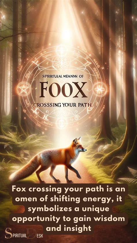 Spiritual Meaning of Fox Crossing Your Path | Spiritual animal ...