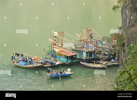 Bing Wallpaper Universe 的图像结果