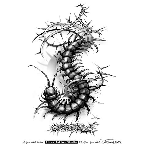 Centipede traditional tattoo | Orangetattooshop.com