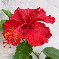 soumya Mishra (Soumya Mishra) Quotes | YourQuote