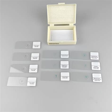 10pcs Plant Growth Stages Histology Slides Set Science Slice High Plant ...