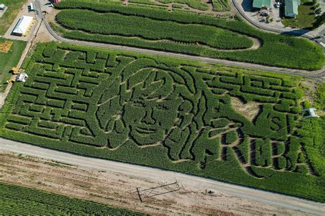 Reba McEntire corn maze: Designer from MAiZE explains how corn mazes ...