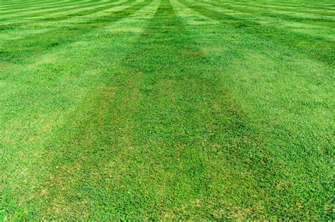 MVP Lawn Care - Central Florida | Saint Cloud FL