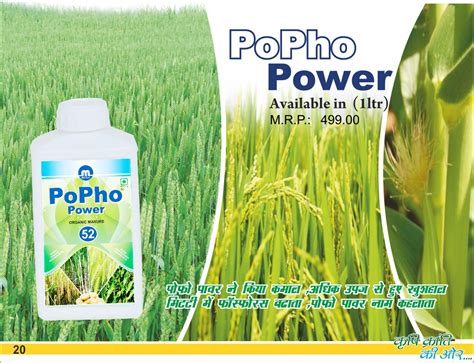 Welcome To Moral Group Of Companies