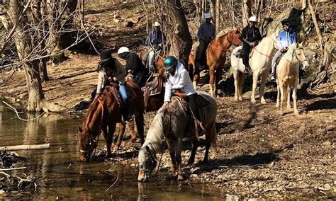 Things To Do In Baltimore - Deals on Activities in Baltimore, MD | Groupon