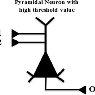 Image result for Spike Coding