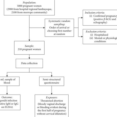 Image result for Data Collection Process Map