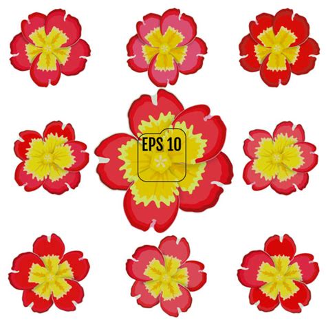 Royalty Free Primrose Clip Art, Vector Images & Illustrations - iStock