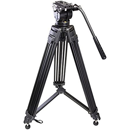 Buy Proaim Heavy Duty 100mm (CST-100-01) Tripod Stand w Rubber Spreader ...
