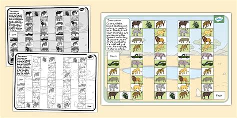 The Big Five Animals Vocabulary Race Board Game - Twinkl