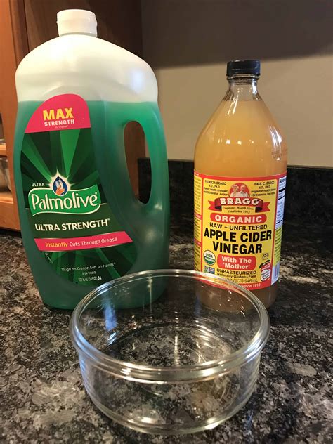 3 Easy Steps to Get Rid of Fruit Flies With Apple Cider Vinegar - Prudent Reviews