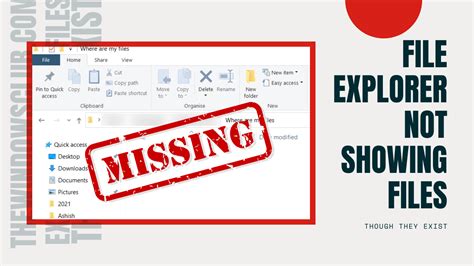 When Using File Explorer Jpg Files Will Not Display As 的图像结果