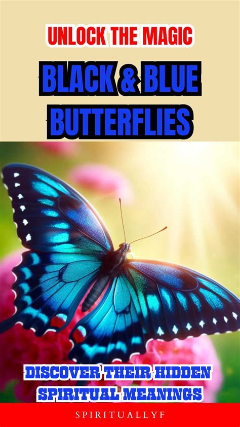 Black and Blue Butterfly Meaning: 7 Fascinating Insights into Their ...