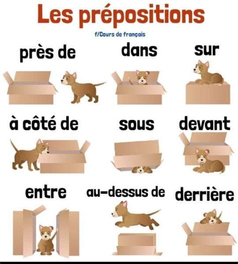 French Prepositions with Dogs