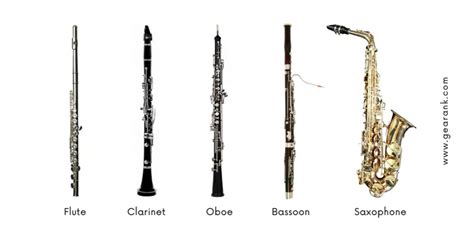 Image result for Types of Wind Instruments