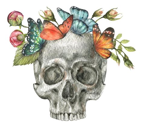 Skull And Flowers Drawing