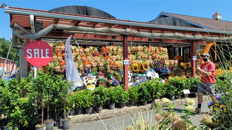 Image result for Note 9 vs Note 20