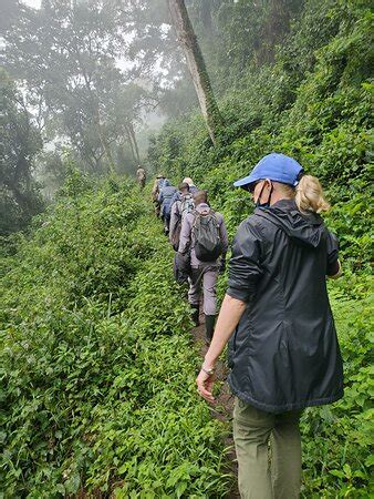 Wild Rwanda Safaris (Kigali) - 2021 What to Know Before You Go (with ...