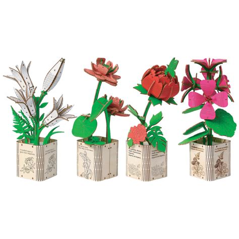 4-Piece Wooden Flower Pot DIY Kit | Geranium, Lily, Lotus & Peony ...