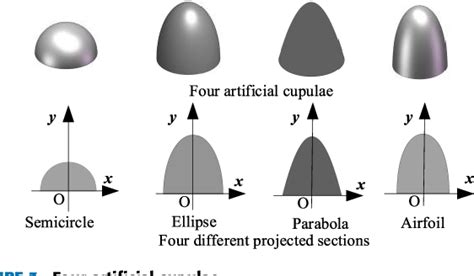 Image result for Lateral Line Sensor