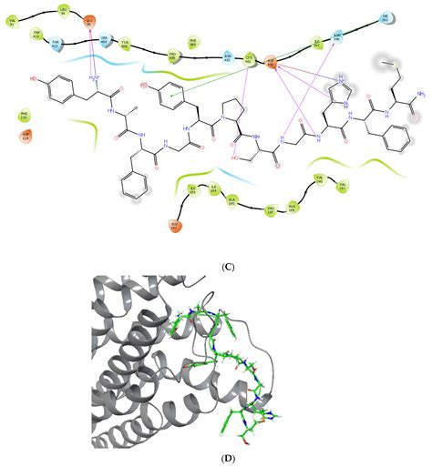 Opioid/Dopamine Receptor Binding Studies, NMR and Molecular Dynamics ...