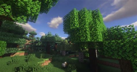 Image result for How to Install BSL Shaders Java