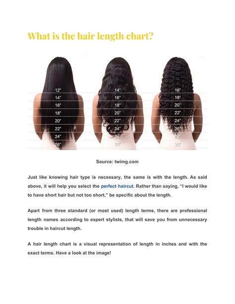 PPT - What is Hair Length Chart? – Detailed Guide on its Uses ...
