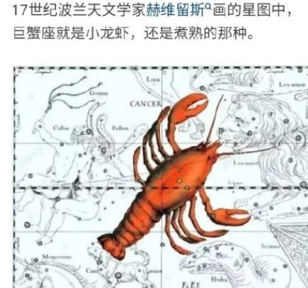 为什么说巨蟹座是龙虾座 巨蟹座是螃蟹还是小龙虾 _八宝网