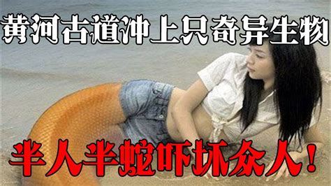 【中国故事】黄河古道冲上只奇异生物，半人半蛇吓坏众人！ - YouTube