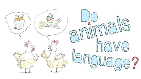 Image result for Language Master Animals
