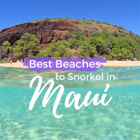 The best snorkeling beaches in maui with directions – Artofit