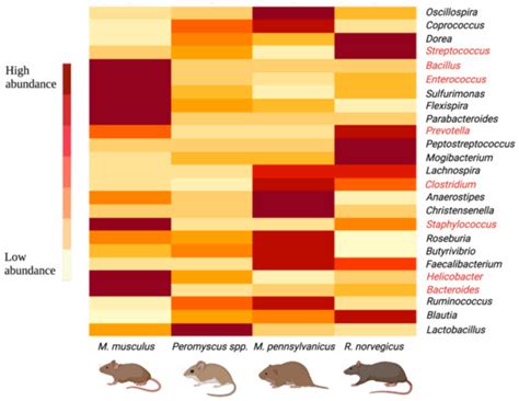 Pathogens | Special Issue : Advances in Biosurveillance for Human ...
