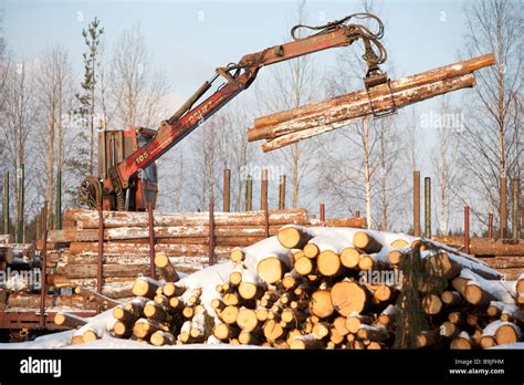 Image result for Snow Runner Loading Long Logs Using Log Crane