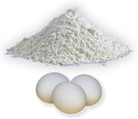 IMT Industries Private Limited Delhi - White Egg Shell Powder ...