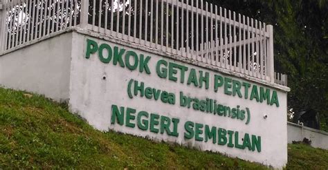 POKOK GETAH PERTAMA (2025) All You Need to Know BEFORE You Go (with ...