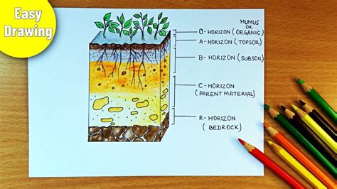 Soil Layers Science Project 的图像结果
