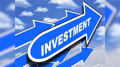 Ankiti Bose, ex-CEO of Zilingo, launches investment firm Terra-Invest