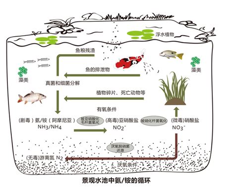 水生态环境优化治理技术_温江环保管家一站式服务平台