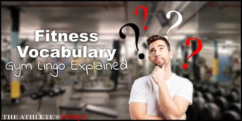 Image result for Extension Muscle Movement