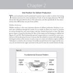 Rezultat imagine pentru Lateral Lisp Example