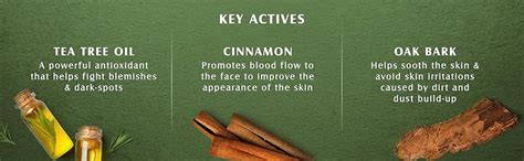 Lotus Herbals Teatreewash Tea Tree & Cinnamon Anti-Acne Oil Control ...