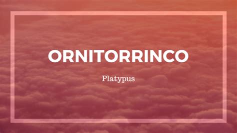 20 Beautiful Spanish Words to Add to Your Vocabulary