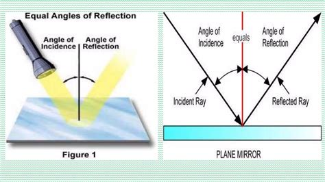 Image result for Reflection of Light