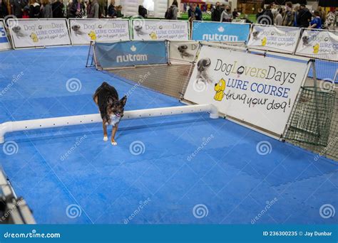 Novi Pet Expo in Novi, Michigan on 12-04-2021 at the Suburban ...