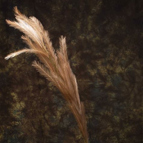 Buy Brass Ganesh Wall Plate Online in India - Mypoojabox.in