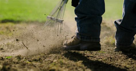 Landscaping Business Insurance Guide (+Coverage You Need) | Aspire