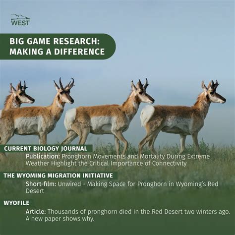 WEST Big Game Research: Making a Difference: - Western EcoSystems ...
